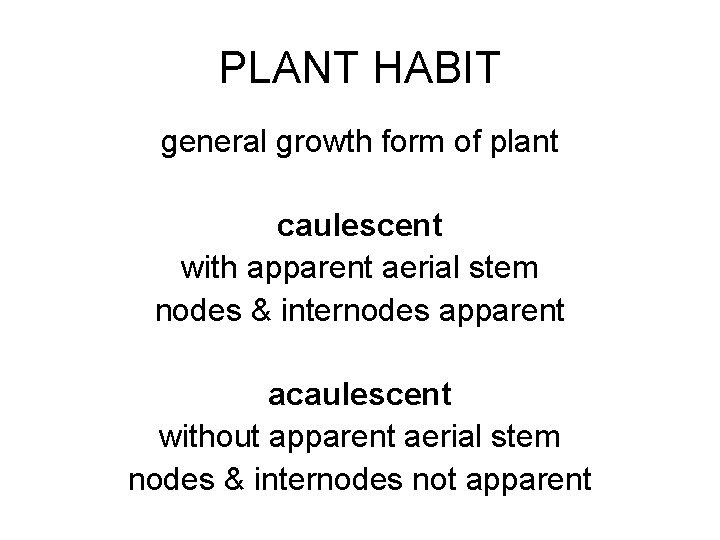 PLANT HABIT general growth form of plant caulescent with apparent aerial stem nodes &