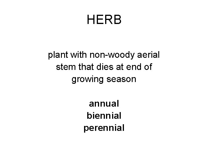 HERB plant with non-woody aerial stem that dies at end of growing season annual