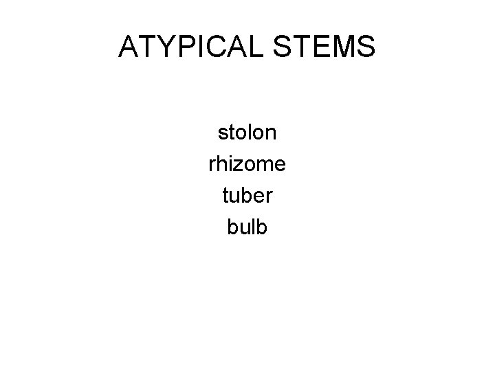 ATYPICAL STEMS stolon rhizome tuber bulb 