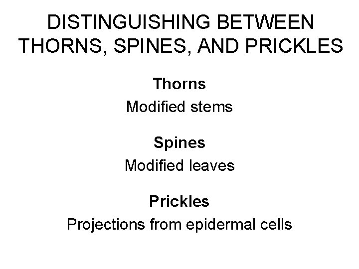 DISTINGUISHING BETWEEN THORNS, SPINES, AND PRICKLES Thorns Modified stems Spines Modified leaves Prickles Projections