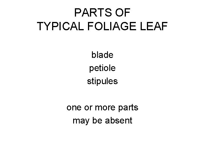 PARTS OF TYPICAL FOLIAGE LEAF blade petiole stipules one or more parts may be