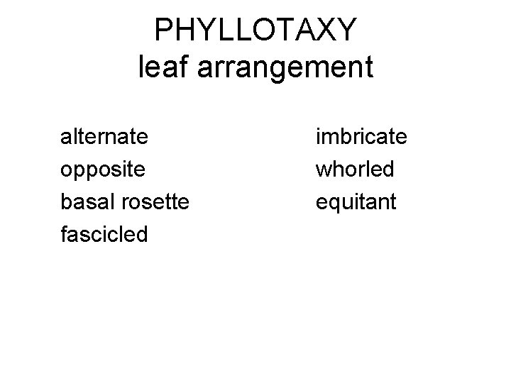 PHYLLOTAXY leaf arrangement alternate opposite basal rosette fascicled imbricate whorled equitant 