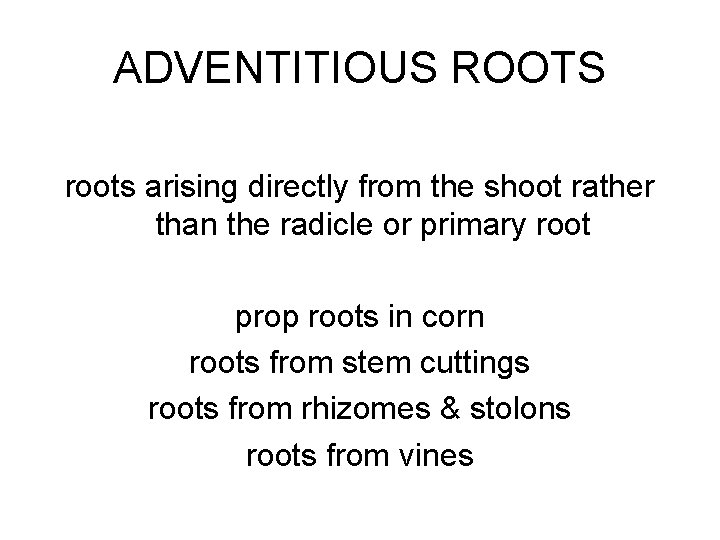 ADVENTITIOUS ROOTS roots arising directly from the shoot rather than the radicle or primary