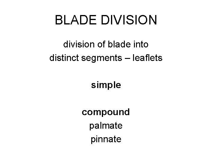 BLADE DIVISION division of blade into distinct segments – leaflets simple compound palmate pinnate