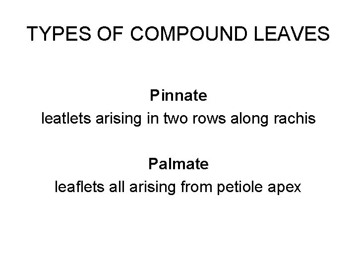 TYPES OF COMPOUND LEAVES Pinnate leatlets arising in two rows along rachis Palmate leaflets