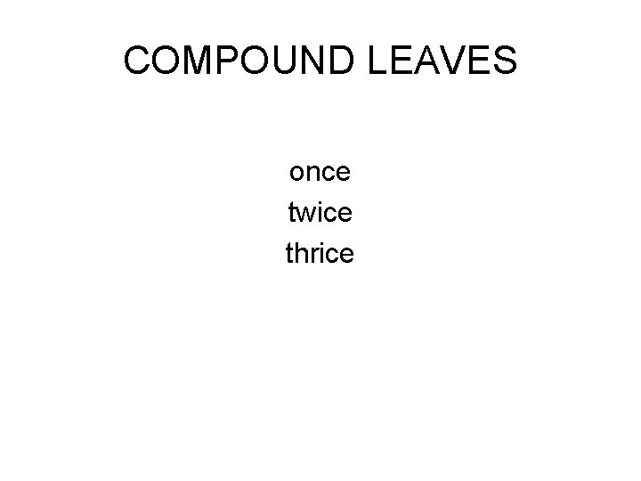 COMPOUND LEAVES once twice thrice 