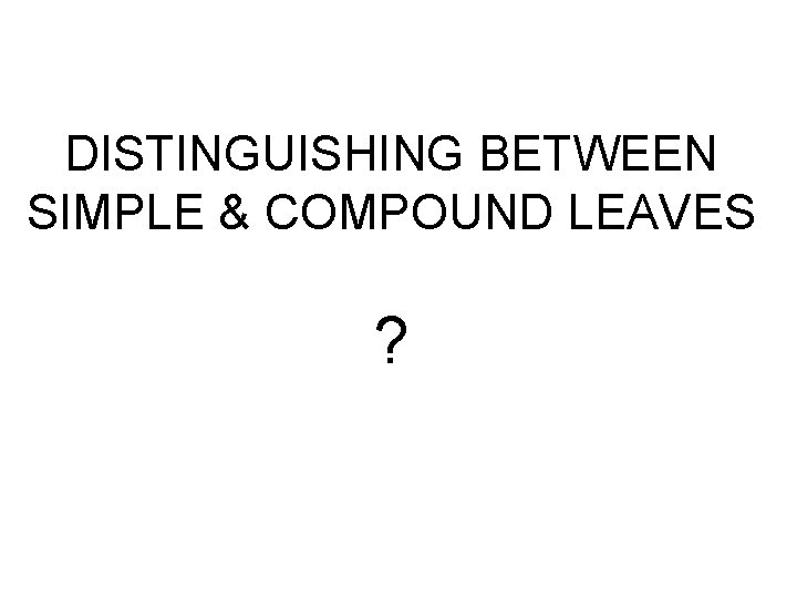 DISTINGUISHING BETWEEN SIMPLE & COMPOUND LEAVES ? 