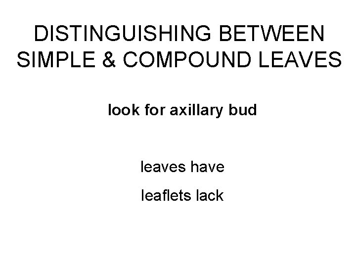 DISTINGUISHING BETWEEN SIMPLE & COMPOUND LEAVES look for axillary bud leaves have leaflets lack