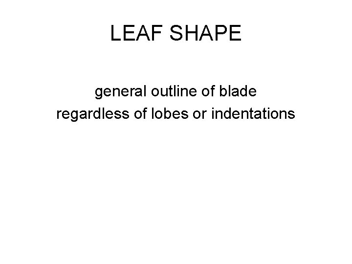 LEAF SHAPE general outline of blade regardless of lobes or indentations 