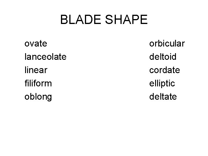 BLADE SHAPE ovate lanceolate linear filiform oblong orbicular deltoid cordate elliptic deltate 