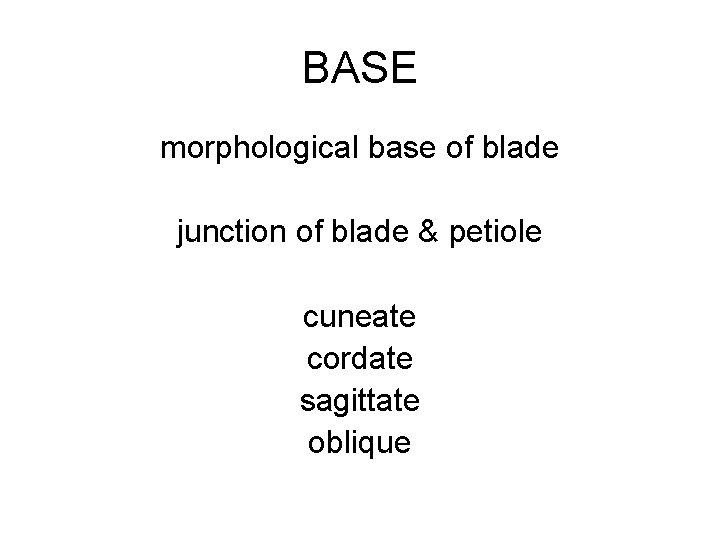 BASE morphological base of blade junction of blade & petiole cuneate cordate sagittate oblique