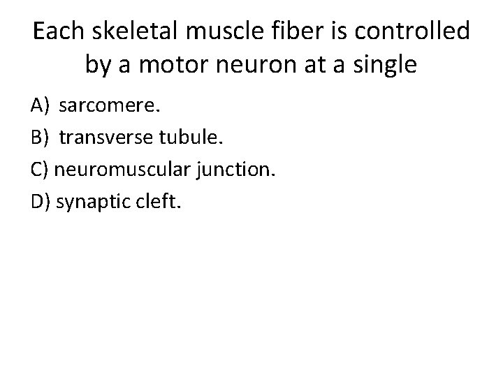 Each skeletal muscle fiber is controlled by a motor neuron at a single A)