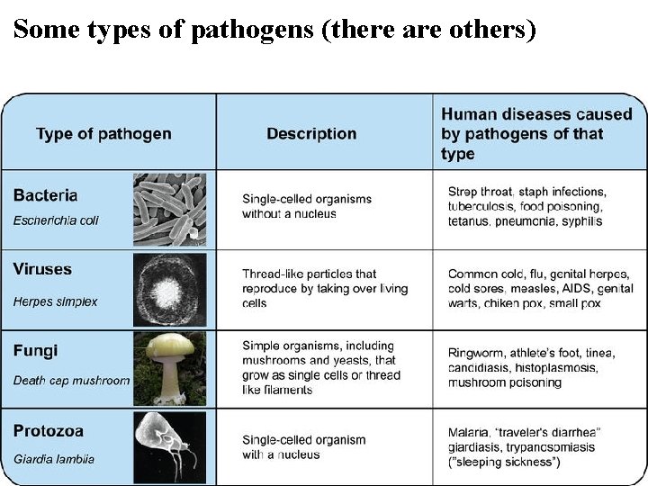 Some types of pathogens (there are others) © 2014 Pearson Education, Inc. 