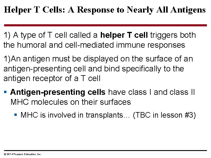 Helper T Cells: A Response to Nearly All Antigens 1) A type of T