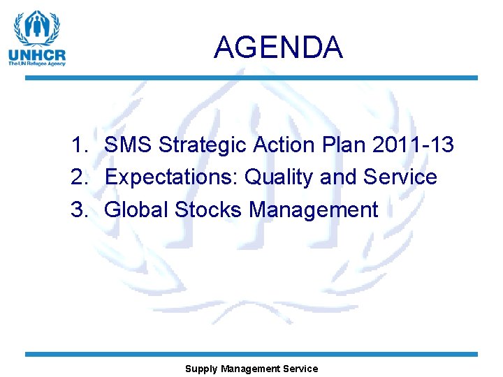 AGENDA 1. SMS Strategic Action Plan 2011 -13 2. Expectations: Quality and Service 3.