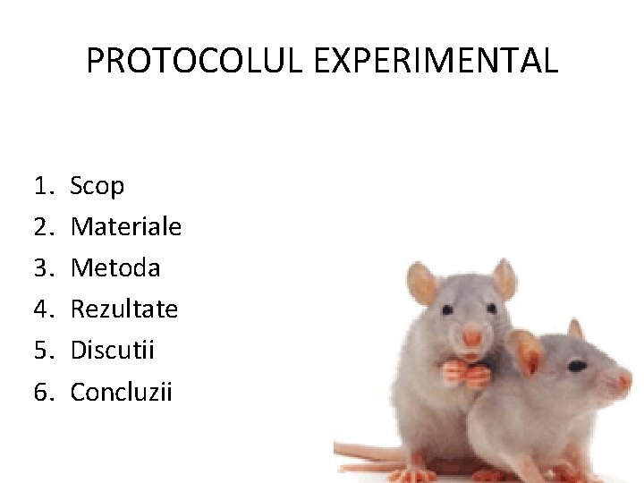 PROTOCOLUL EXPERIMENTAL 1. 2. 3. 4. 5. 6. Scop Materiale Metoda Rezultate Discutii Concluzii