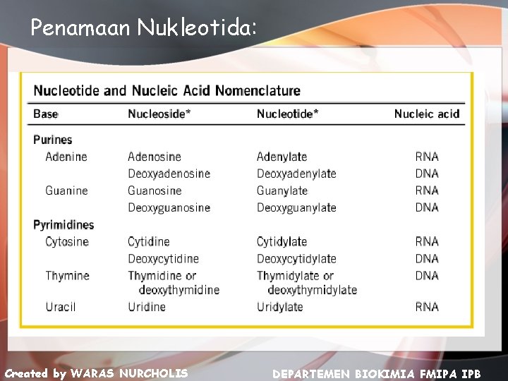 Penamaan Nukleotida: Created by WARAS NURCHOLIS DEPARTEMEN BIOKIMIA FMIPA IPB 