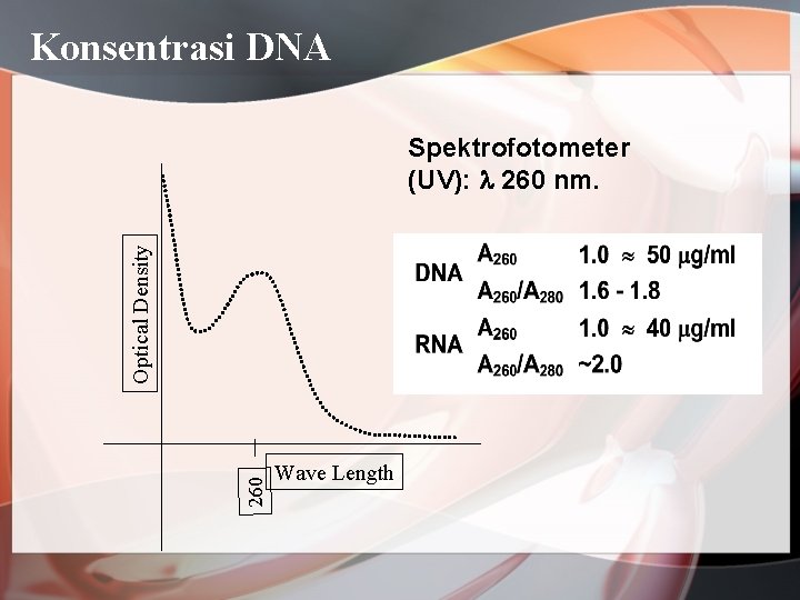 Konsentrasi DNA 260 Optical Density Spektrofotometer (UV): 260 nm. Wave Length 