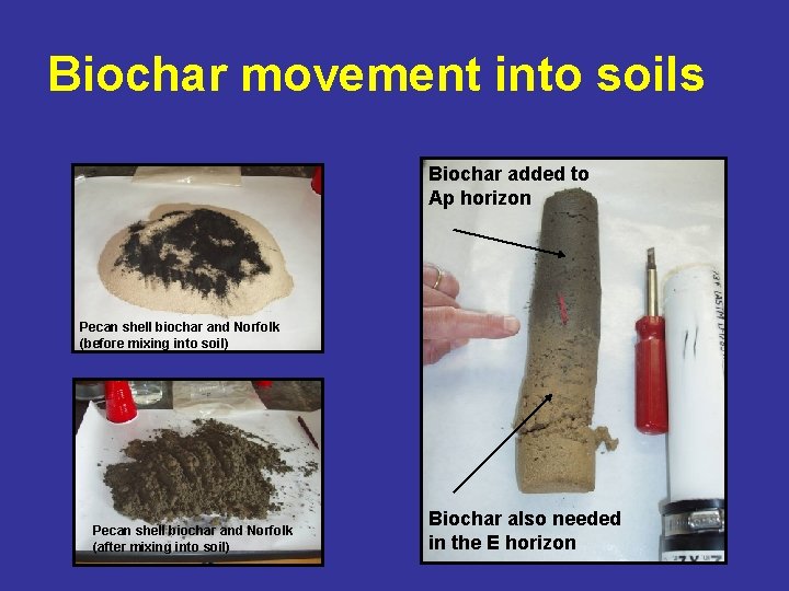 Biochar movement into soils Biochar added to Ap horizon Pecan shell biochar and Norfolk