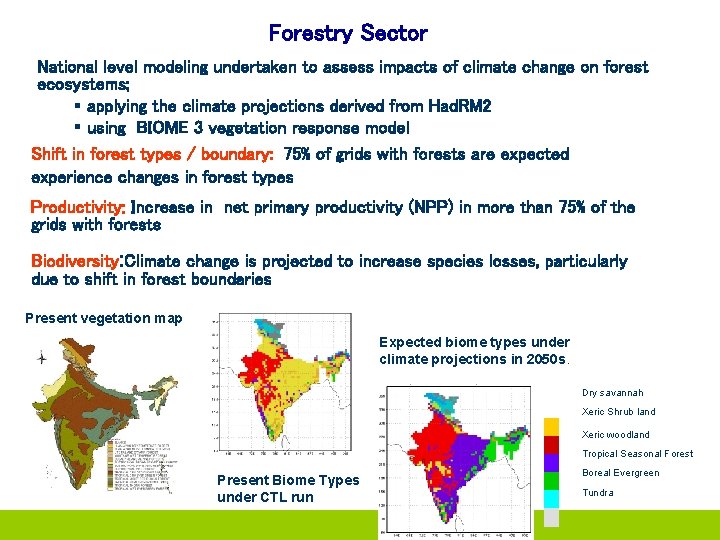 Forestry Sector National level modeling undertaken to assess impacts of climate change on forest