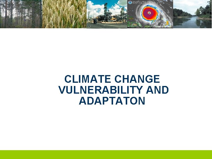 CLIMATE CHANGE VULNERABILITY AND ADAPTATON 