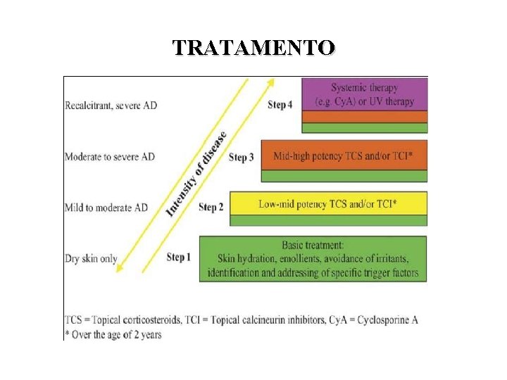 TRATAMENTO 
