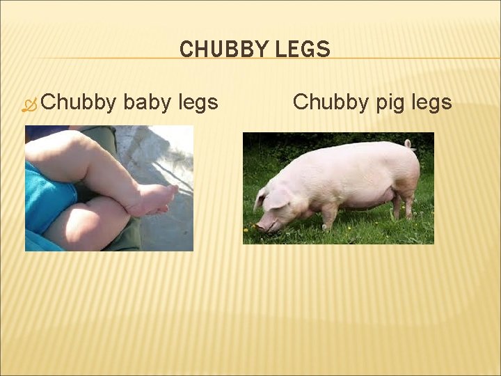 CHUBBY LEGS Chubby baby legs Chubby pig legs 