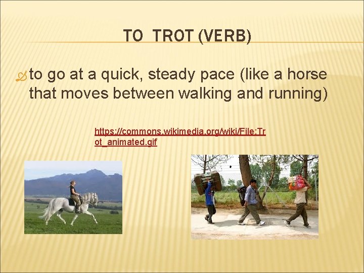 TO TROT (VERB) to go at a quick, steady pace (like a horse that