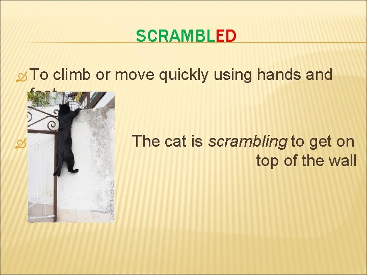 SCRAMBLED To climb or move quickly using hands and feet The cat is scrambling