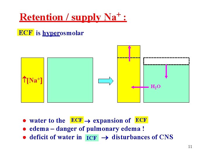 Retention / supply Na+ : ECF is hyperosmolar [Na+ H 2 O water to