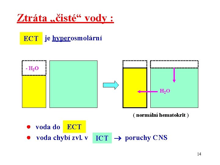 Ztráta „čisté“ vody : ECT je hyperosmolární - H 2 O ( normální hematokrit