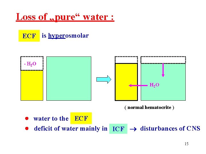 Loss of „pure“ water : ECF is hyperosmolar - H 2 O ( normal