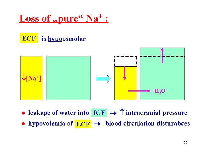 Loss of „pure“ Na+ : ECF is hypoosmolar [Na+ H 2 O leakage of