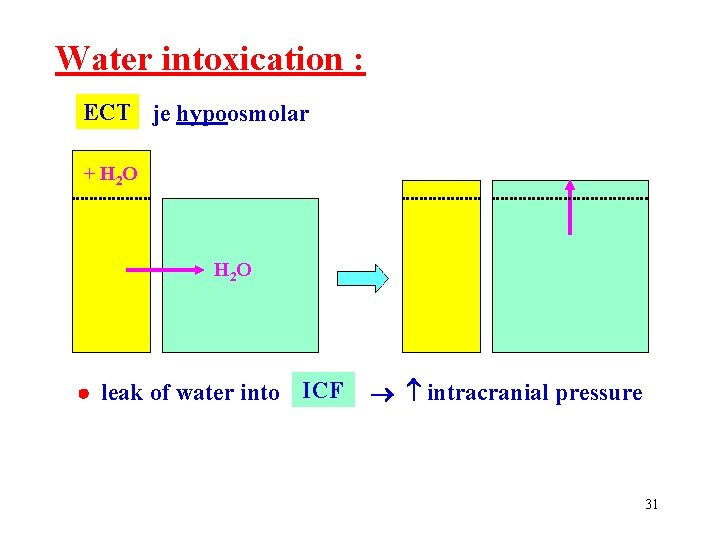 Water intoxication : ECT je hypoosmolar + H 2 O H 2 O leak