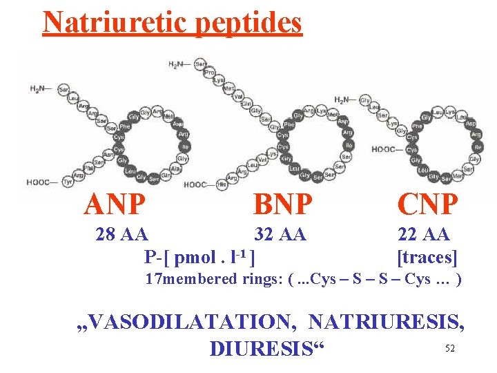 Natriuretic peptides ANP BNP 28 AA 32 AA P-[ pmol. l-1 ] CNP 22