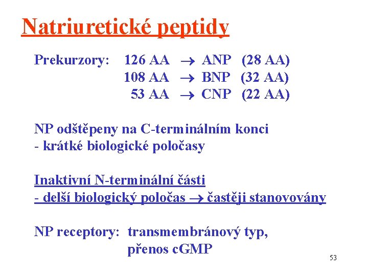 Natriuretické peptidy Prekurzory: 126 AA ANP (28 AA) 108 AA BNP (32 AA) 53