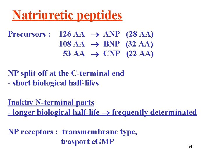Natriuretic peptides Precursors : 126 AA ANP (28 AA) 108 AA BNP (32 AA)