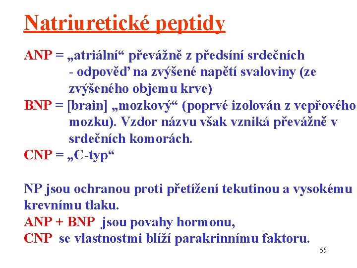 Natriuretické peptidy ANP = „atriální“ převážně z předsíní srdečních - odpověď na zvýšené napětí