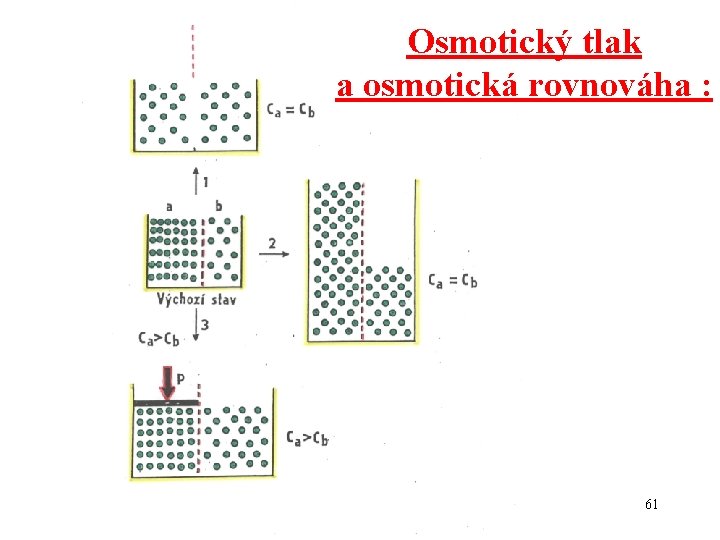 Osmotický tlak a osmotická rovnováha : 61 