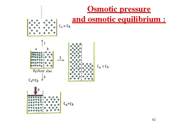 Osmotic pressure and osmotic equilibrium : 62 