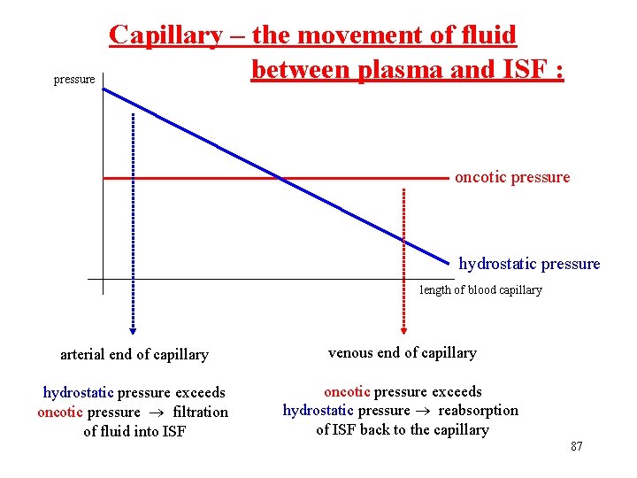 pressure Capillary – the movement of fluid between plasma and ISF : oncotic pressure