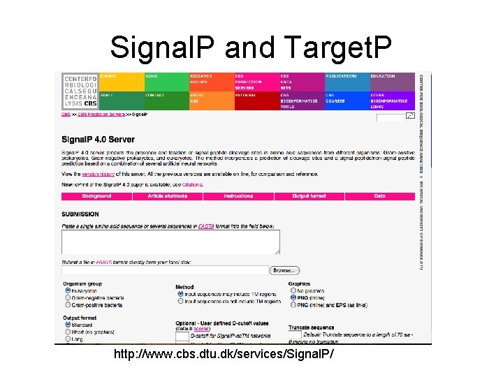Signal. P and Target. P http: //www. cbs. dtu. dk/services/Signal. P/ 