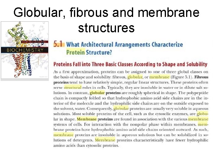 Globular, fibrous and membrane structures 