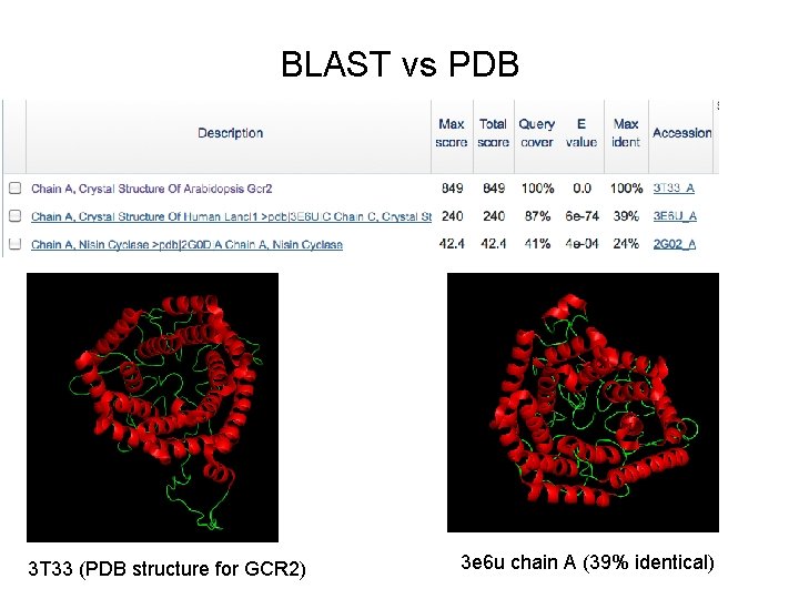 BLAST vs PDB 3 T 33 (PDB structure for GCR 2) 3 e 6