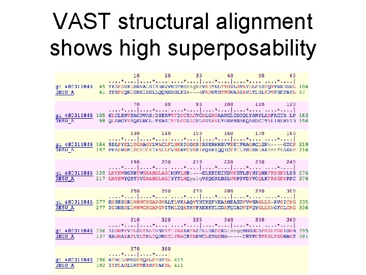 VAST structural alignment shows high superposability 