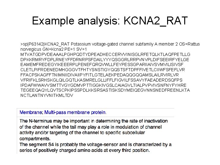 Example analysis: KCNA 2_RAT >sp|P 63142|KCNA 2_RAT Potassium voltage-gated channel subfamily A member 2