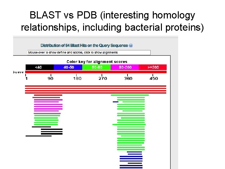 BLAST vs PDB (interesting homology relationships, including bacterial proteins) 