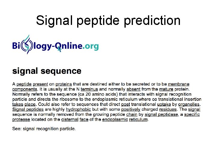 Signal peptide prediction 