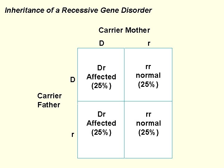 Inheritance of a Recessive Gene Disorder Carrier Mother D D r Dr Affected (25%)