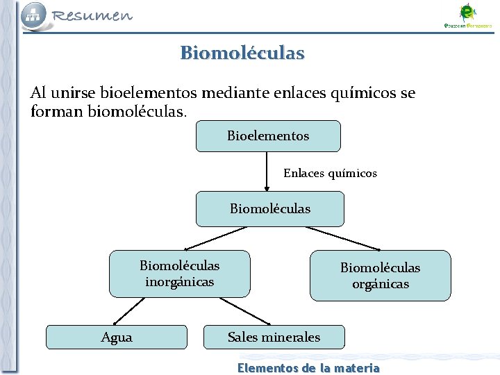 Biomoléculas Al unirse bioelementos mediante enlaces químicos se forman biomoléculas. Bioelementos Enlaces químicos Biomoléculas